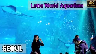 Exploring the Lotte Tower Aquarium in Seoul | 4K Walking Tour, 롯데타워 아쿠아리움