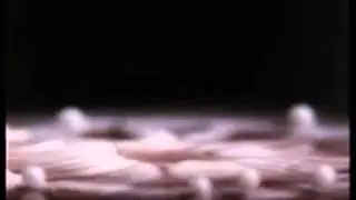 Harold Edgerton Podcast