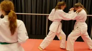 Karate Team Utrecht Mannequin challenge 2016