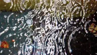 Water- Wanderings, Features and Fountains, Melissa Wu and Samantha Laurie
