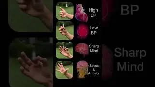 High BP Control in 1 Min ⚡ | Simple Acupressure Points | Yoga & Health Tips #shorts @yogdrishtii