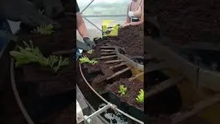 Запуск машины SIDTECH FM-PE D в питомнике Зеленый Гид в Омске.