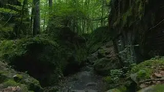 As the Crow Flies - Episode 00 Trailer