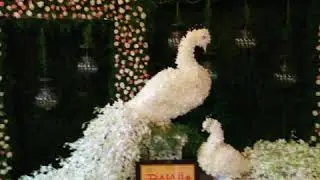 Birthday Party Organisers In Hyderabad (9652034698}
