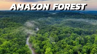 Amazon Forest: A Magical World of Nature | Tamil | Mr.Ocean