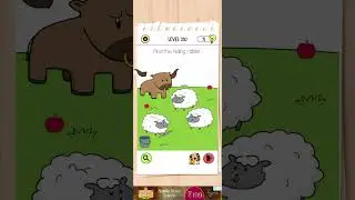 brain test All level 310