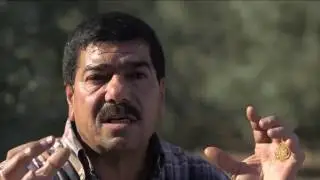هذا الصباح- خطوات سهلة لمعرفة زيت الزيتون الأصلي