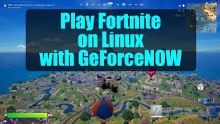 Fortnite on Linux