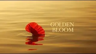Gentle Flower Motion 🌺 Relaxing Visuals with Calm Music - Релакс, Медитація #relax #meditation