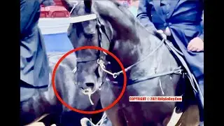 SUFFERING-NOSE DRIPPING 