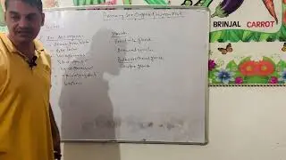 Primary sex organs testes Lec 2