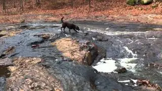 harris shoals 02.MOV