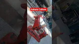 Ankara Airport, Turkish Goats and Sheep #safarzafar #goat #culture #ankara #turkey