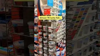 Petco prioritizing profit over betta fish care