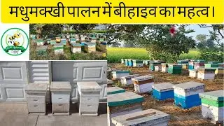 मधुमक्खी पालन में BeeHive का महत्व