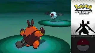 Let's Play - Pok&eacute;mon Weisse Edition - Part 8 - Team Plasma im Ewigenwald