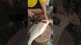 Great Big Silver Snapper Fish Cutting By Expert Fish Cutter || #shorts #fish #fishing