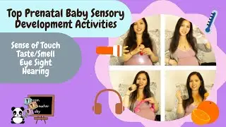 Prenatal Brain Development & Sensory Learning Development Activities |