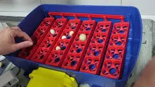 Evaluación positiva de la incubadora BOROTTO REAL 24 AUTOMÁTICA ¡Mis codornices nacieron felices!