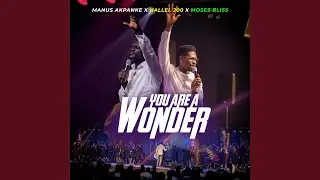 You Are A Wonder