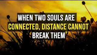 When Two Souls Are Connected, Distance Cannot Break Them
