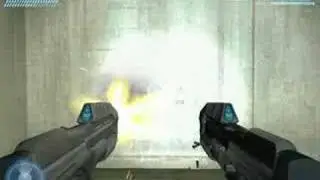 Dual Assault Rifles