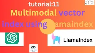 multimodal vector index using LlamaIndex|Tutorial:11