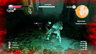 The Witcher 3: Wild Hunt - Werewolf fight (Death March)