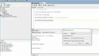 Oracle Password Reset (SQL Developer)