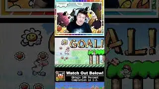 Yoshi's Island: Super Mario Advance 3 - Watch Out Below!  #retroachievements