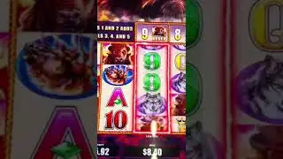 Buffalo triple boost slot bonus! #slot #casinogames #vegas #casino #slotscasinogames #casinoslots
