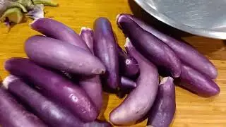 Freezing eggplants -- 2022
