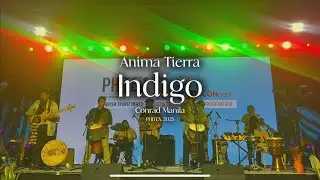 Indigo (Live Performance at PHITEX 2025)