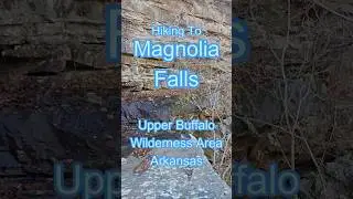 Magnolia Falls #hike #nature #ozarknationalforest #trekking #hikingadventures #shorts #wilderness