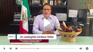 Dr. Leobigildo C&oacute;rdova Tellez, Titular del SNICS