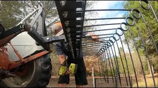 Использование садовых граблей для посадки пастбищных трав в лесу (лесопастбищное хозяйство).