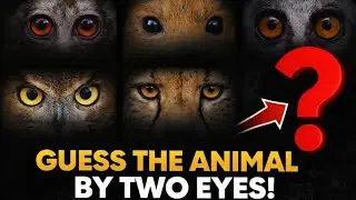 Only Genius Can Guess These Animals 😱 | Part 1 | Quiz game | Quiz video | Quiz