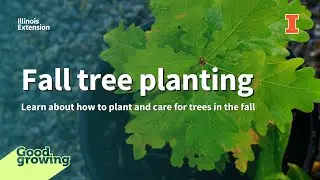 Gardenbite: Fall Tree Planting | #GoodGrowing