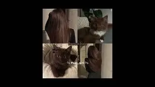 What hair colour you have?🩷#hair #haircolor #brown #black #blonde #animals