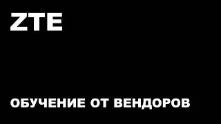 Обучение по ZTE