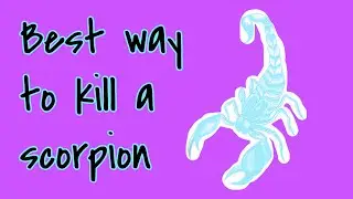 Best & Fastest Way to Kill a Scorpion