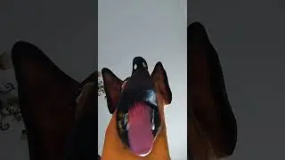 #blia