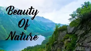 Whisper of Nature l A Peaceful Landscape 