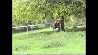 Driving Trials C 1990:  NEDTG Newby Hall
