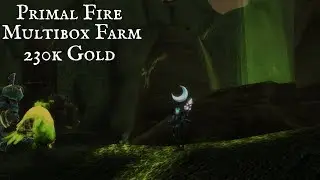 WOW: Primal Fire Multiboxing Farm