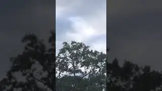 Spotting Beech King Airs arriving to Brookhaven Clabaro Airport over my house