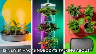 I Tried 12 MORE Viral Dollar Tree Indoor Plant Hacks  Here&rsquo;s What Actually Worked🔥 