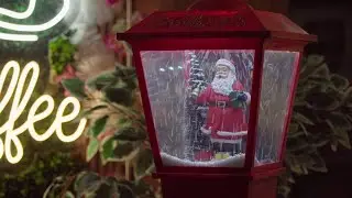 Магия предновогоднего Нови-Сада 🎄✨