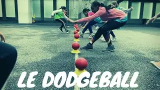 DODGEBALL- Capsule pédagogique