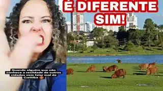 N&Atilde;O FALE MAL DE CURITIBA PRA MIM 😒 #Shorts